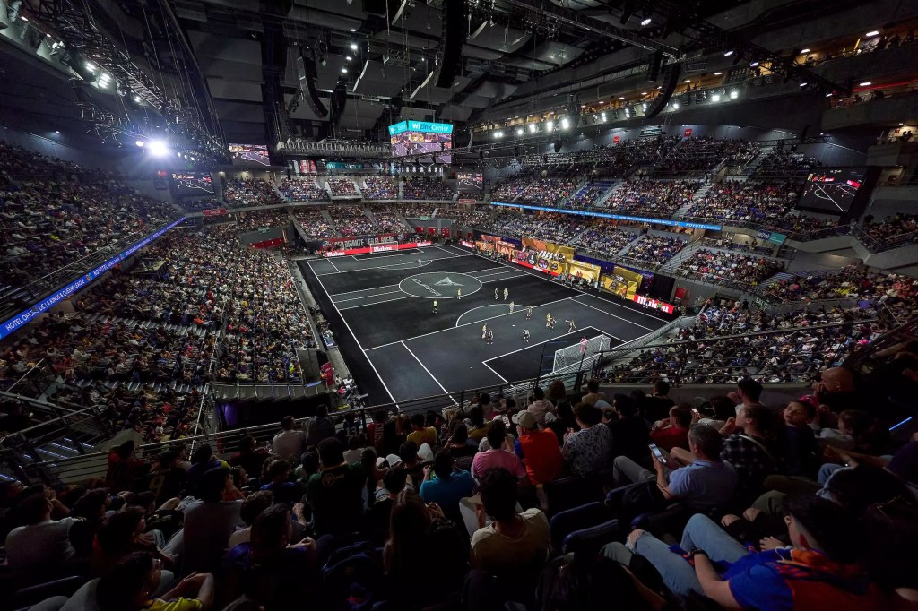 WHAT? DAS GUCKT DOCH KEINE SAU!